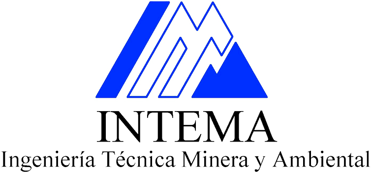 Intema Logo